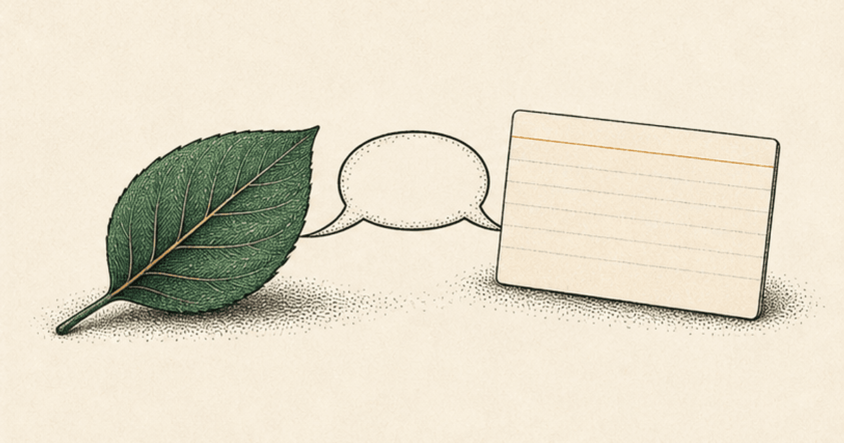 IELTS Speaking Questions About the Environment: 50 Questions Across All Three Parts