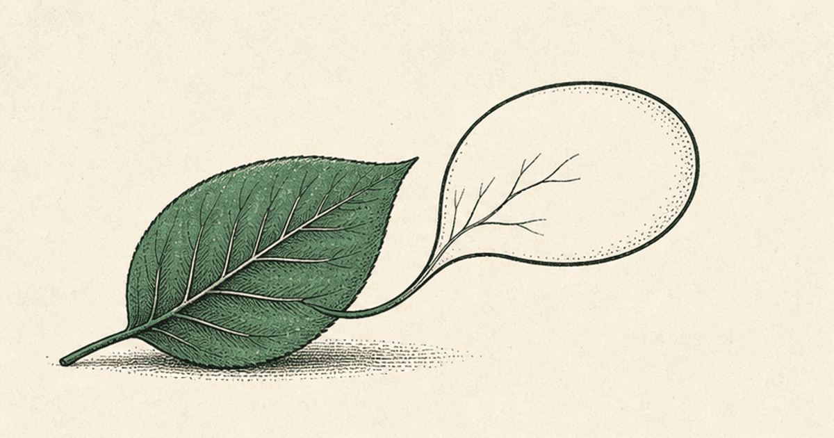 50 ESL Discussion Questions About the Environment and Sustainability